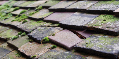 Vange roof repair costs